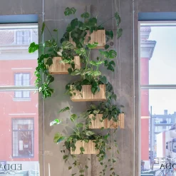 New Squarely Copenhagen - Plantekasse - GrowWIDE - Ask Natur