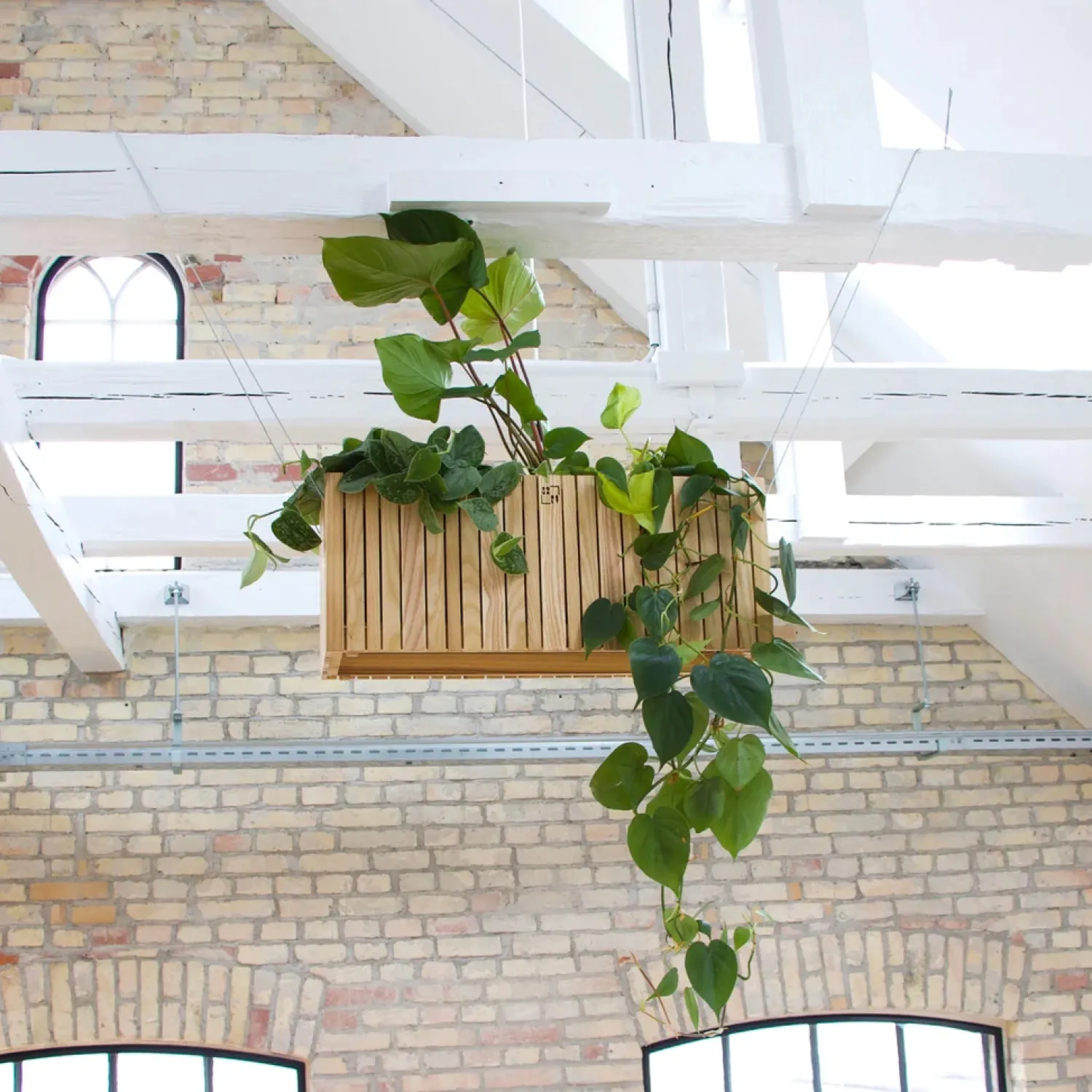 New Squarely Copenhagen - Plantekasse - GrowWIDE - Ask Natur