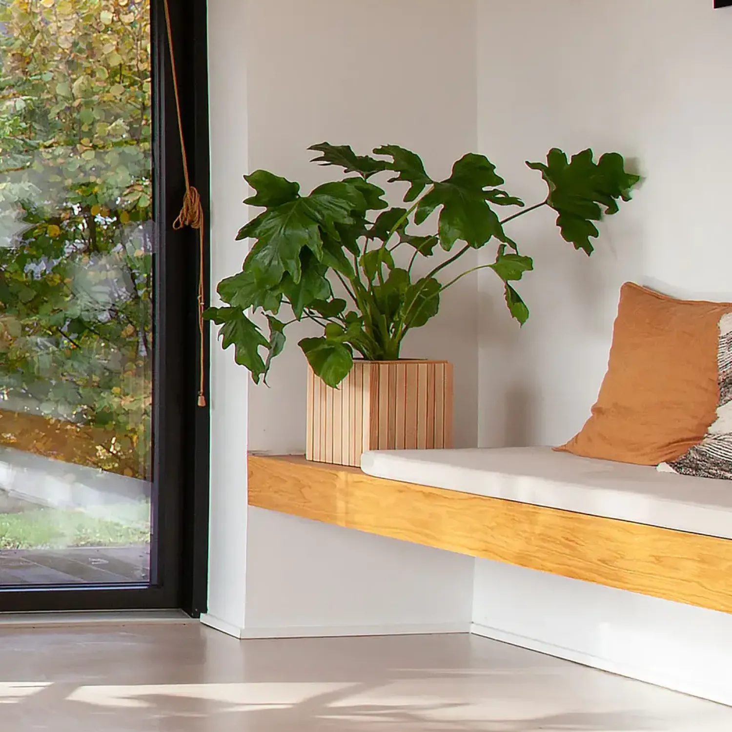 Clearance Squarely Copenhagen - Plantekasse - GrowON - Ask Natur