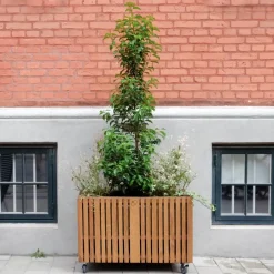 Hot Squarely Copenhagen - Plantekasse - GrowLARGE - Mørk Eg - 90x45x52cm