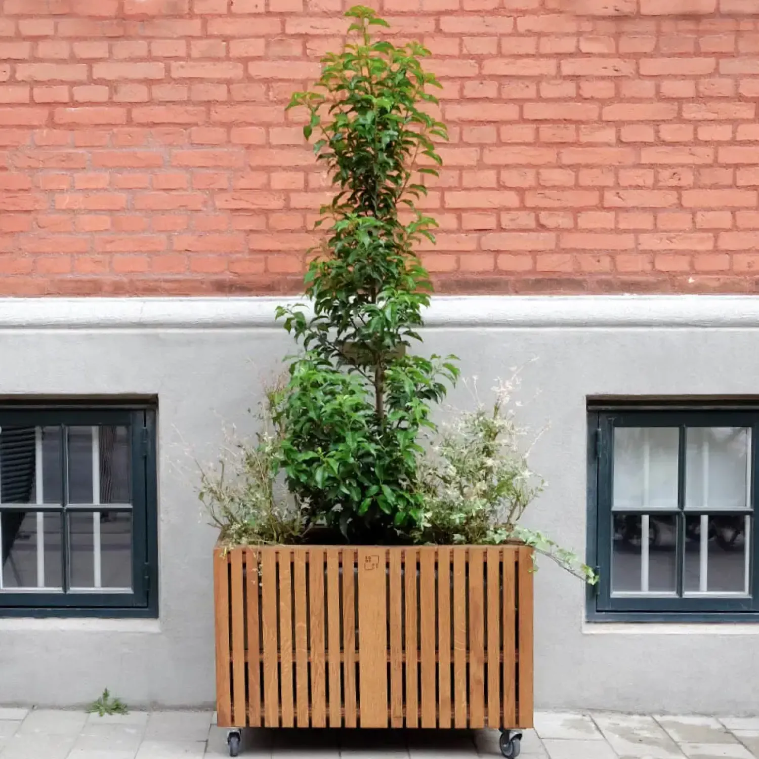 Hot Squarely Copenhagen - Plantekasse - GrowLARGE - Mørk Eg - 90x45x52cm