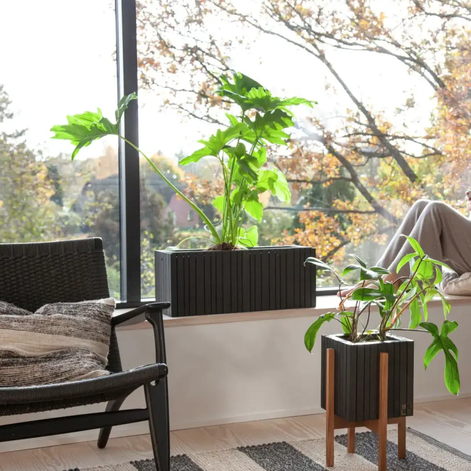 Sale Squarely Copenhagen - Plantekasse - GrowWIDE - Sort Ask