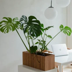 Outlet Squarely Copenhagen - Plantekasse - GrowWIDE - Mørk Eg - 60 x 22 x 24