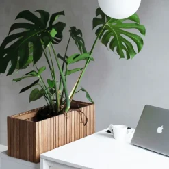 Outlet Squarely Copenhagen - Plantekasse - GrowWIDE - Mørk Eg - 60 x 22 x 24