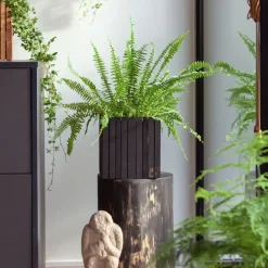 Online Squarely Copenhagen - Plantekasse - GrowON - Sort Ask