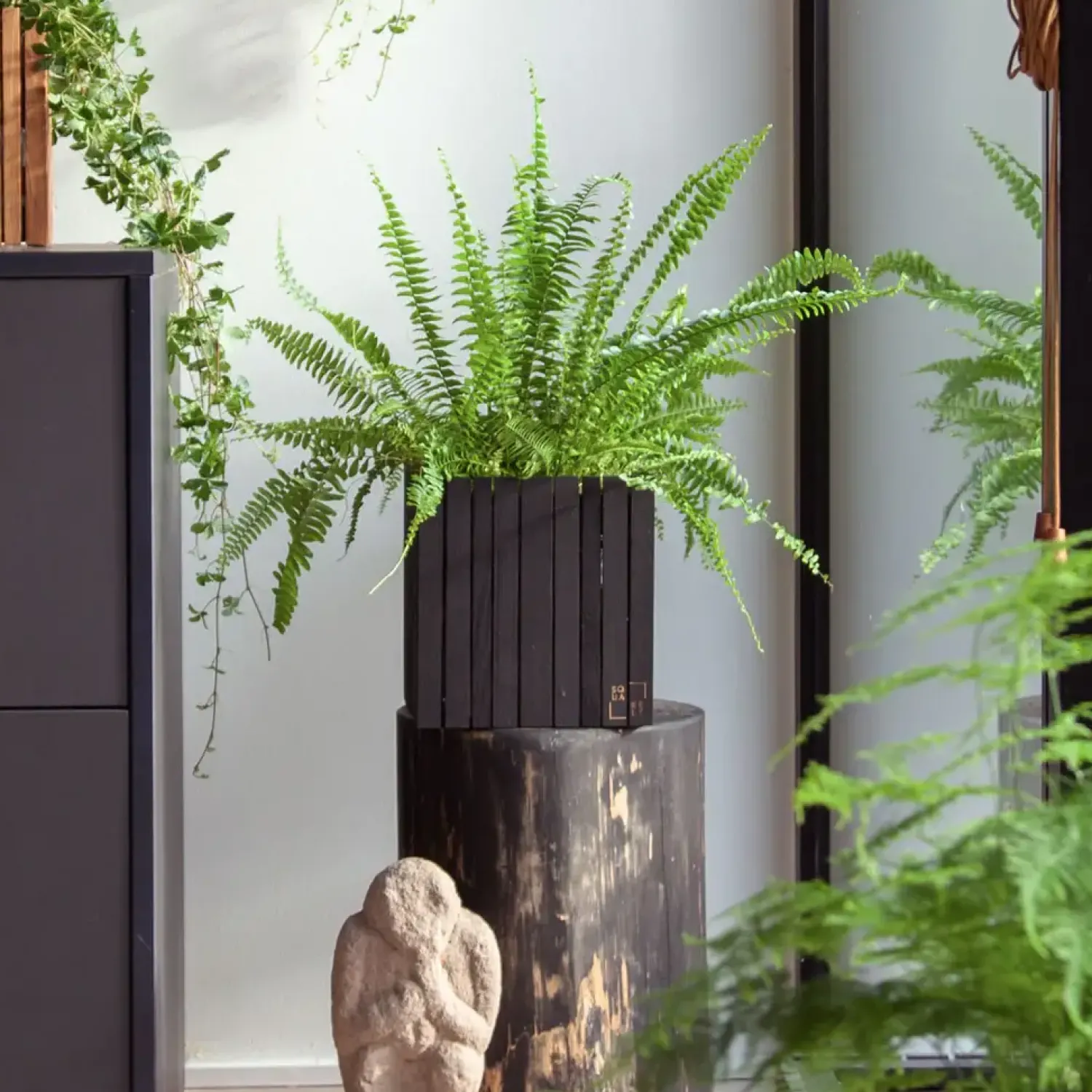 Online Squarely Copenhagen - Plantekasse - GrowON - Sort Ask