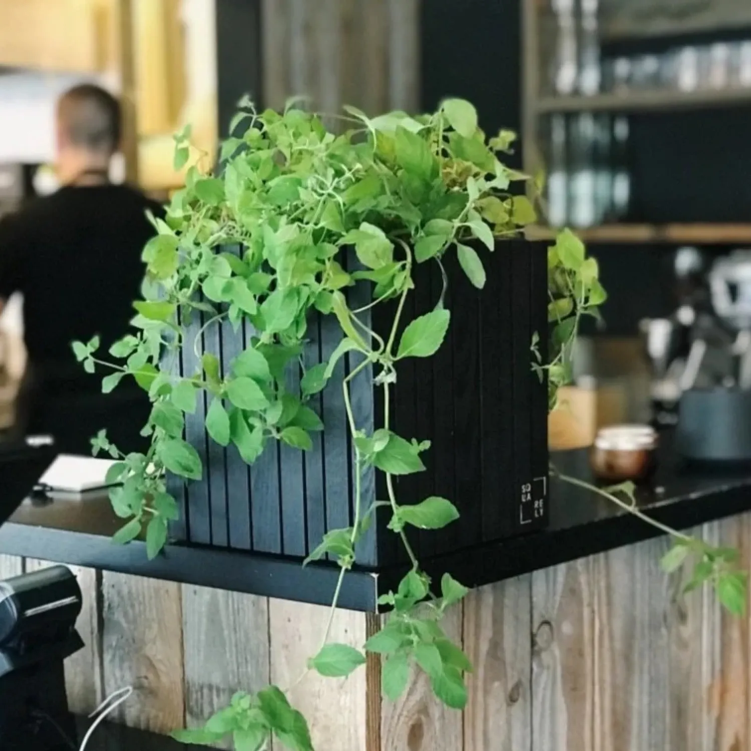Online Squarely Copenhagen - Plantekasse - GrowON - Sort Ask