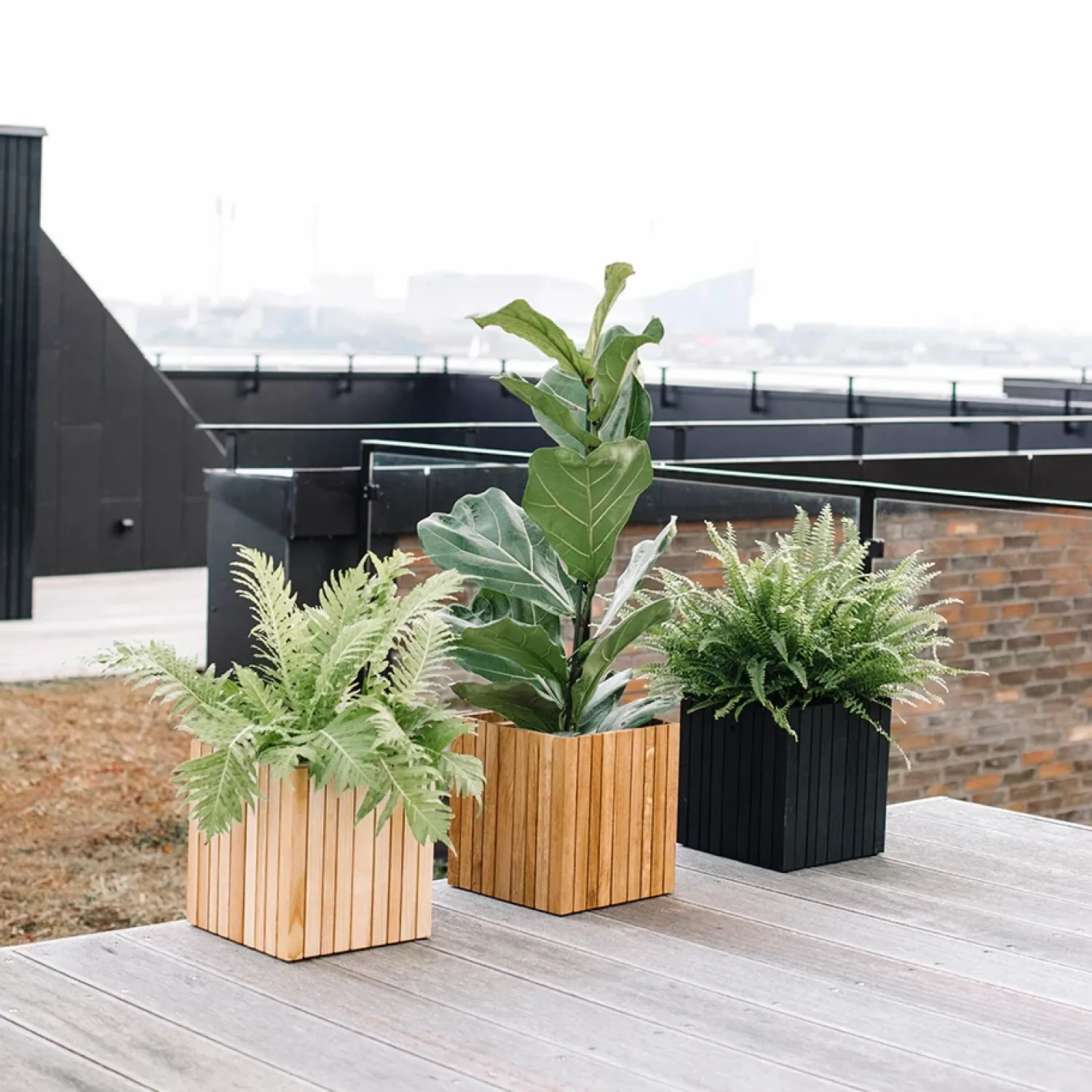 Online Squarely Copenhagen - Plantekasse - GrowON - Sort Ask