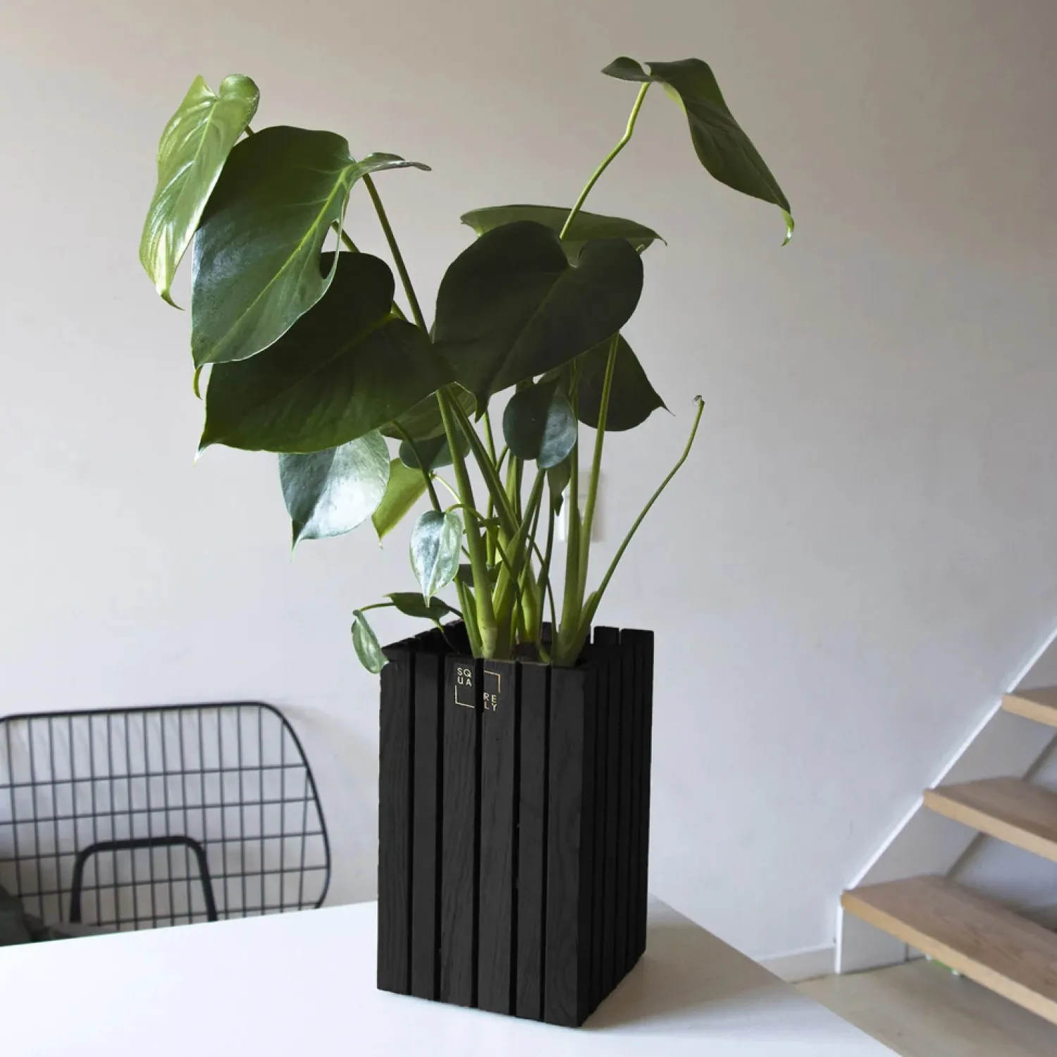 Hot Squarely Copenhagen - Plantekasse - GrowSMALL - Ask Sort
