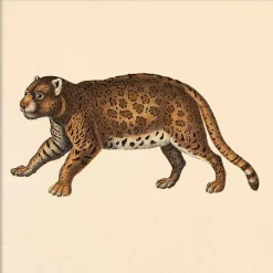 Sale The Dybdahl - Plakat - Leopard, Mini Print - 15x15 cm