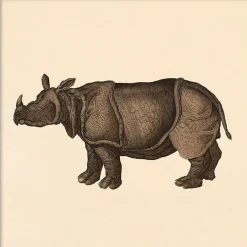 Hot The Dybdahl - Plakat - Rhino, Mini Print - 15x15 cm