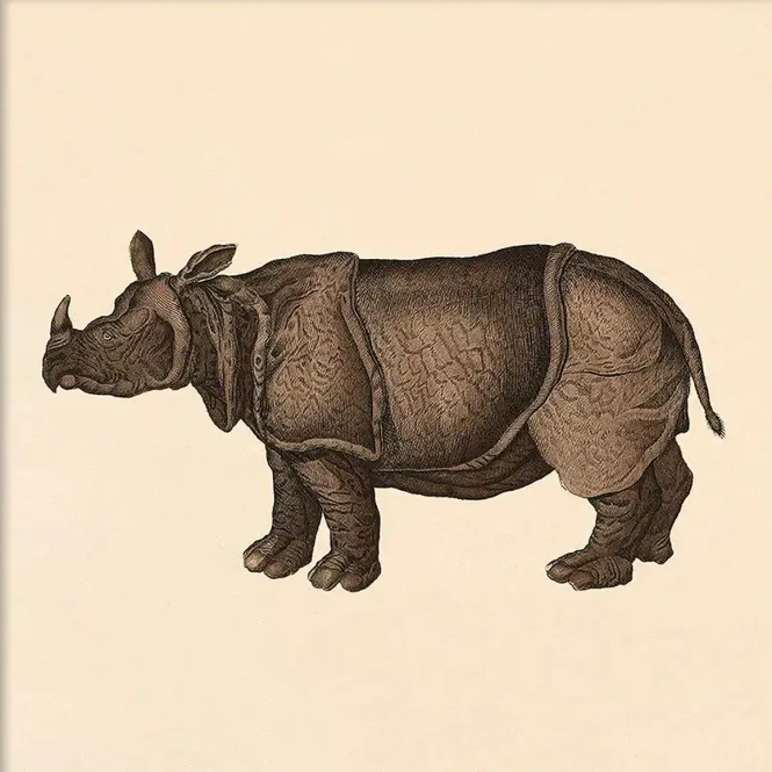 Hot The Dybdahl - Plakat - Rhino, Mini Print - 15x15 cm