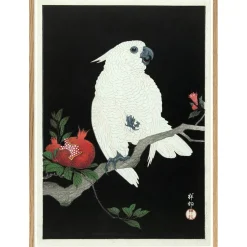 Discount The Dybdahl - Plakat 50x70 cm. - Cockatoo & Pomegranate - Papir