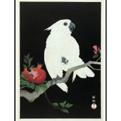 Discount The Dybdahl - Plakat 50x70 cm. - Cockatoo & Pomegranate - Papir