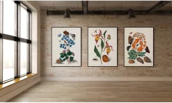 Clearance The Dybdahl - Plakat 50x70 cm - Orange Lillies, Insects & a Shell - Papir