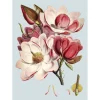Online The Dybdahl - Plakat 50x70 cm - Pink Flower - Papir