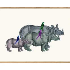 New The Dybdahl - Plakat 30x40 cm. - Rhinos and Birds - Papir