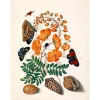 Hot The Dybdahl - Plakat 50x70 cm - Two Butterflies, Orange Flower & Seashells - Papir