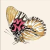 Outlet The Dybdahl - Plakat - Yellow Butterfly. Mini Print - 15x15 cm