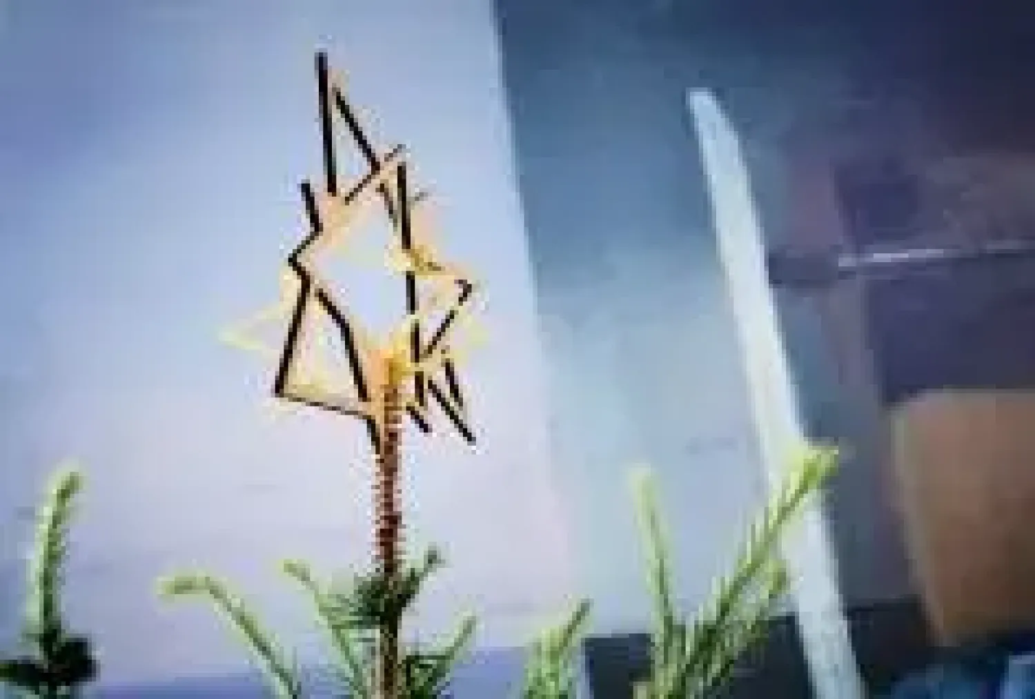 Discount The Oak Men - Twinkle - Top Star