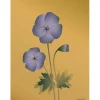 Clearance VISSEVASSE - Geranium plakat, amber - 50x70 cm