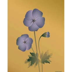 Clearance VISSEVASSE - Geranium plakat, amber - 50x70 cm