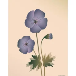 Hot VISSEVASSE - Geranium plakat, nude - 50x70 cm