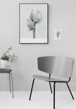 Sale VISSEVASSE - Plakat Botanica Anthurium Andraeanum - (50x70 cm)