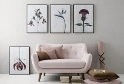 Best VISSEVASSE plakat - Botanica Gloriosa Superba 50x70