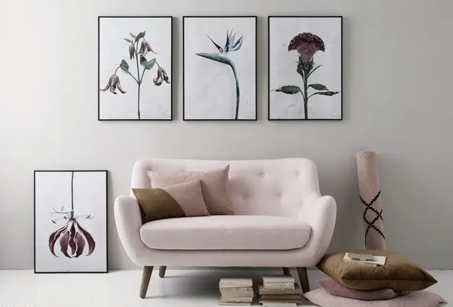 Best VISSEVASSE plakat - Botanica Gloriosa Superba 50x70