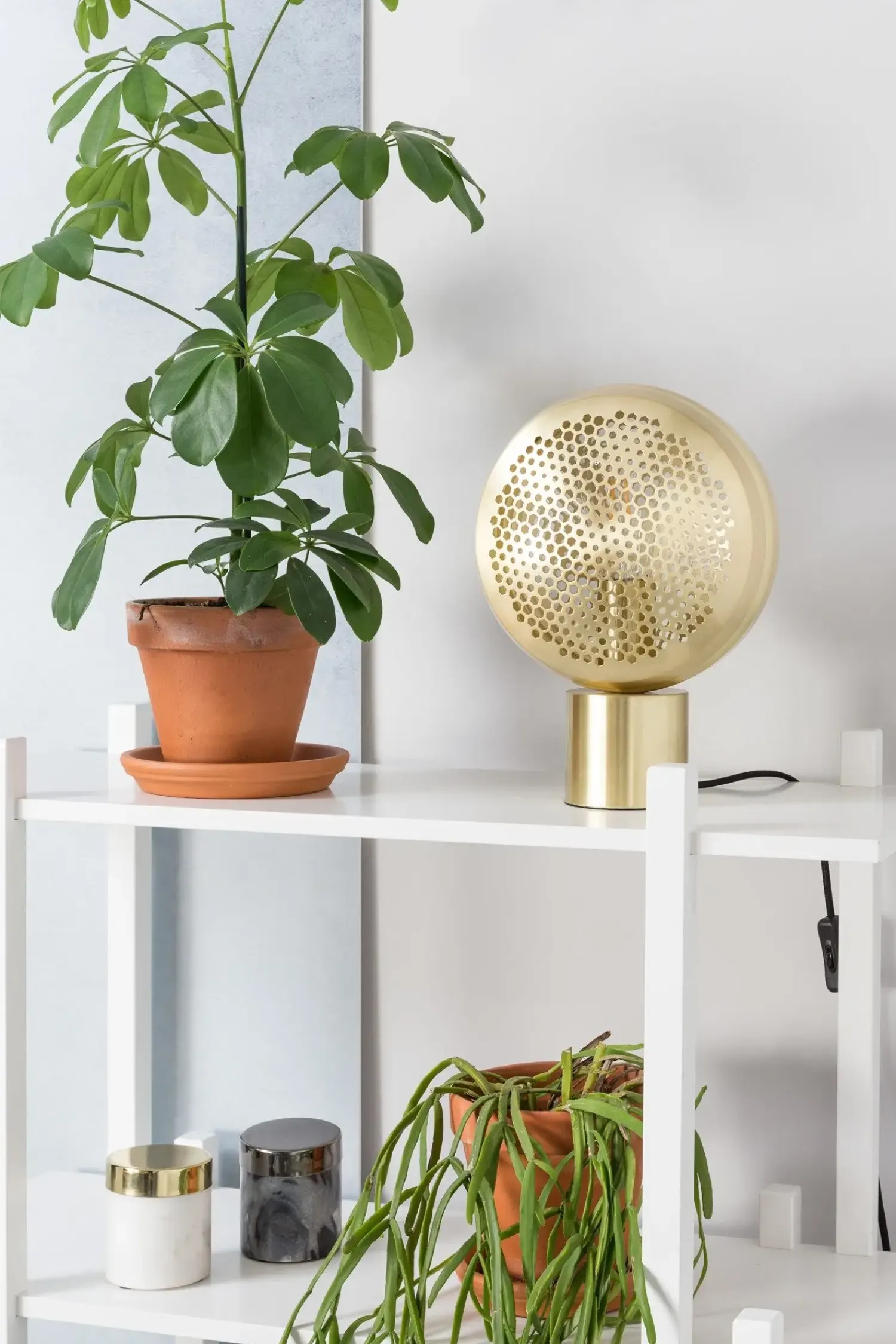 Sale Zuiver - Bordlampe GRINGO messing
